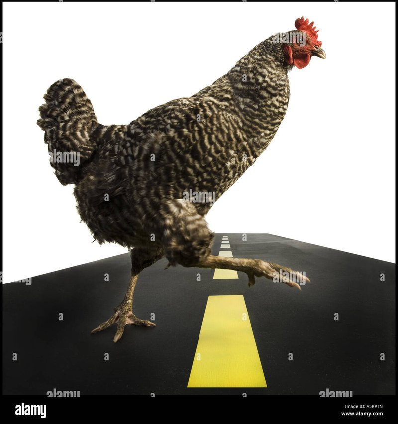 Explore chicken road españa Explore chicken road españa